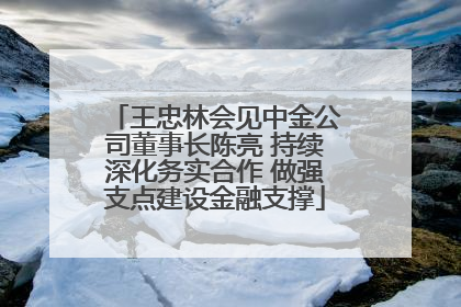 王忠林会见中金公司董事长陈亮 持续深化务实合作 做强支点建设金融支撑